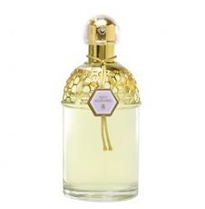 Guerlain Aqua Allegoria Lavande Velours
