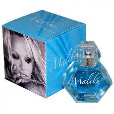Pamela Anderson Malibu Day