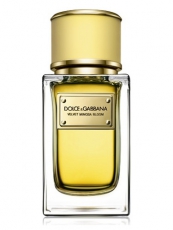 Dolce & Gabbana Velvet Mimosa Bloom