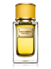 Dolce & Gabbana Velvet Ginestra