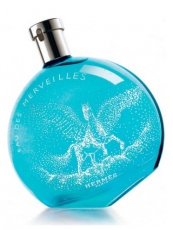 Hermes Eau des Merveilles Pegase