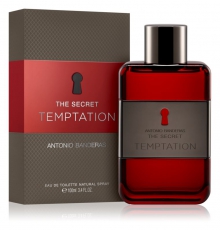 Antonio Banderas The Secret Temptation