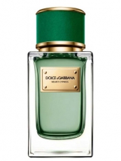 Dolce & Gabbana Velvet Cypress