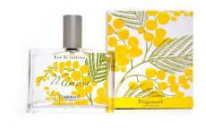 Fragonard Mimosa