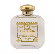 Santa Maria Novella Violetta