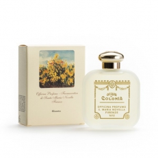 Santa Maria Novella Ginestra (Broom)