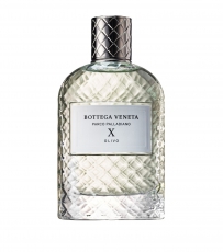 Bottega Veneta Parco Palladiano X: Olivo