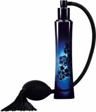 Giorgio Armani Code Elixir