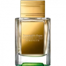 Zegna Strength