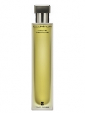 Illuminum Taif Rose