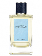 Prada Purple Rain
