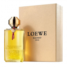 Loewe Tras la tormenta en el Jardin Botanico