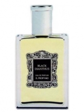 Il Profvmo Black Dianthus