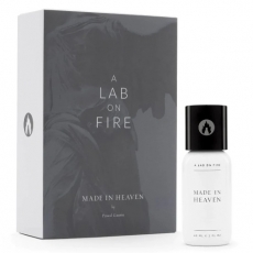 What We Do Is Secret (A Lab on Fire) Made In Heaven
