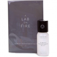 What We Do Is Secret (A Lab on Fire) Almost Transparent Blue
