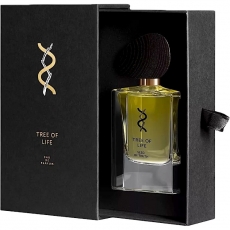 Tree Of Life Seed Of Truth