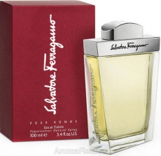 Salvatore Ferragamo Salvatore Ferragamo Pour Homme