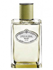 Prada Infusion de Vetiver