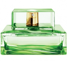 Michael Kors Island Palm Beach
