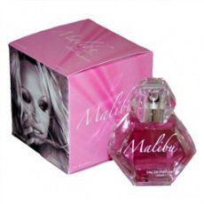 Pamela Anderson Malibu Night
