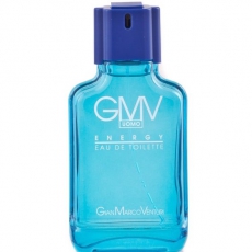 Gian Marco Venturi Energy