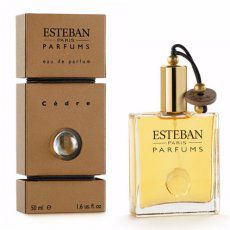 Esteban Cedre
