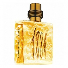 Cerruti 1881 Amber