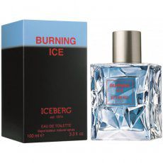 Iceberg Burning Ice