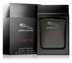 Jaguar Vision III
