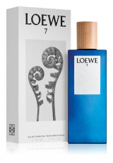 Loewe 7