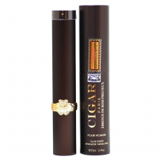 Remy Latour Cigar Essence De Bois Precieux