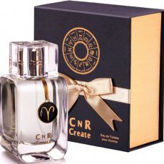 CnR Create Aries