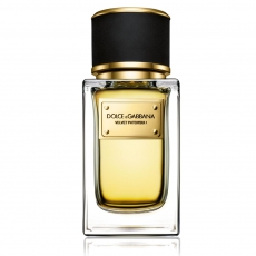 Dolce & Gabbana Velvet Patchouli