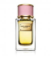 Dolce & Gabbana Velvet Love