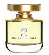 Mona di Orio Rose Etoile de Hollande