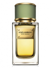 Dolce & Gabbana Velvet Bergamot